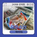[서귀포-안덕면] 제주 특산품 맛집 &#39;우주수산&#39; 제주 참옥돔 구매 후기