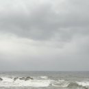 욜로하 스테이 이미지