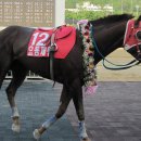 요동목장 이미지