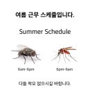 오기피싱 이미지