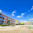 금성초등학교(병설) 이미지