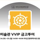 브이브이아이피투어