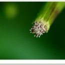 여백이있는날 이미지