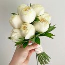 P-7308 | W17. 꽃술예 : 10만원대 촬영부케,본식부케 예약 성공