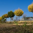 (주)평화산소 이미지