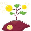 [스크랩] 고구마의 약효