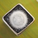 라 펠리치타(La Felicita) 이미지