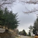 간절곶사슴농장 이미지