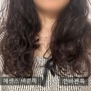 향기약국 | 몽쥬약국 추천템 Hair Ritual by Sisley 헤어 리추얼 바이 시슬리 내돈내산 후기