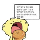 11-1 생각도 색깔도 알록달록