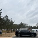목포 근교 글램핑 신안 에버그린캠핑장 바베큐세트 기본제공 셀프바 무한리필