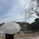 고인성 | 비 오는 날 생각나는 우산, 일상HO감 3단우산 자동우산 후기