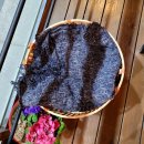 모캄보 유강점 이미지