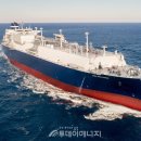 590 이미지
