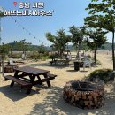 해뜨는 비치하우스 | 충남 서천 해뜨는비치하우스 숙소 바로 앞에서 갯벌체험 가능한 곳 101호 후기!