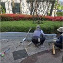 한일 project service 네이버블로그