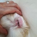 더나은메디컬 이미지