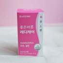 질 유산균 추천 / 좋은버릇레디케어 유산균 후기