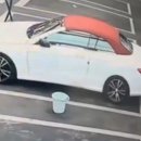 드림세차장 이미지