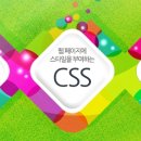 카멜레온디자인주