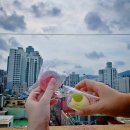 향정 이미지