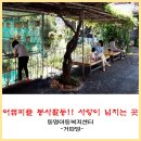 어썸피플 이미지