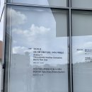 서울 가볼만한 전시회 리움미술관 아니카 이 개인전, 드림 스크린 후기