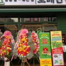보배반점화성 이미지