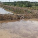 홍연농장 이미지