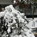 [국내 여행] ❄결항으로 시작한 부산 1박 2일 코스🎄