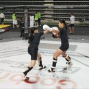 무예체육관 이미지