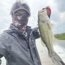 청도천10 이미지