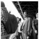 이쁜강아지 이미지