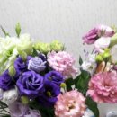 장미목장 이미지