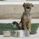 태연농장 이미지