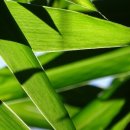 (주)부경에스엠 이미지