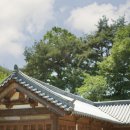 [원주 돌스냅] 아현재 한옥 돌사진 촬영 후기 (feat. 보정본 대공개&amp;돌준맘 꿀팁)