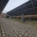 산촌마을 | 파주 애견동반펜션 산촌체험마을 슈가빌 다녀온 후기