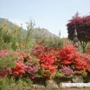 동악농원 이미지