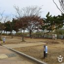 학암포 오토 캠핑장