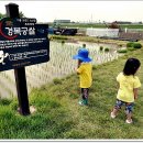 보라농장2 이미지