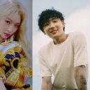 스테이청하 이미지