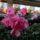 홍제역4번출구 이미지