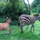 동물원 화장실 이미지