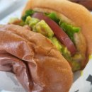 번패티번강릉 이미지