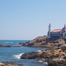 죽성곰탕 이미지