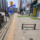 샘마루초등학교 이미지