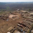 (주)삼림 이미지