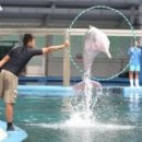 중급영어회화(야간) 이미지