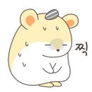 솔룸 이미지